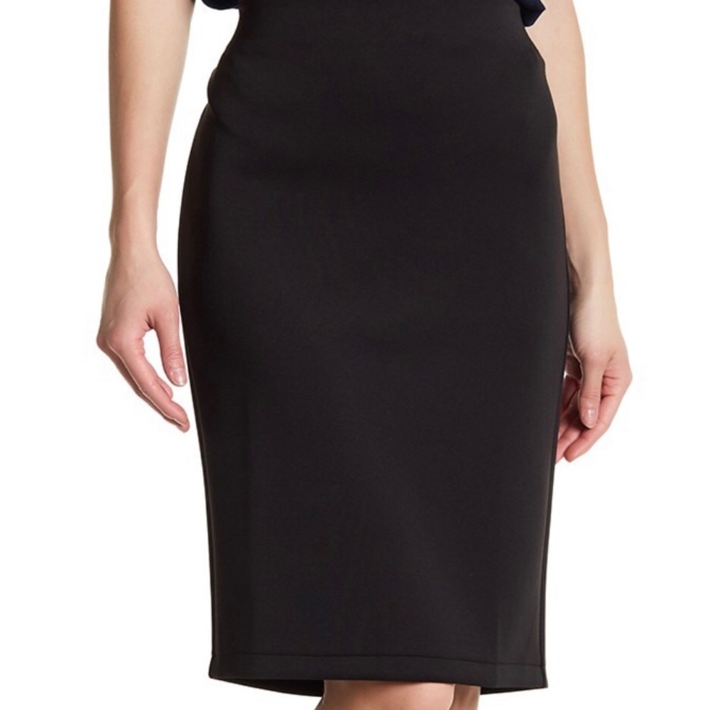 Catherine Catherine malandrino skirt